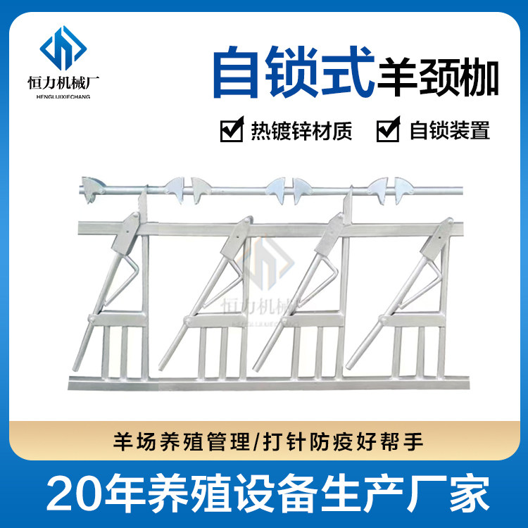 羊舍内隔栏羊颈夹热镀锌加厚自锁式羊颈枷 羊场防疫围栏 羊脖夹