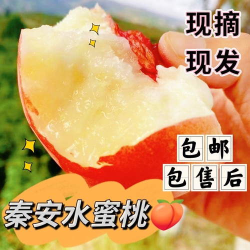 北京9号秦安水蜜桃甘肃桃子天水桃新鲜脆甜脆桃现摘现发包邮