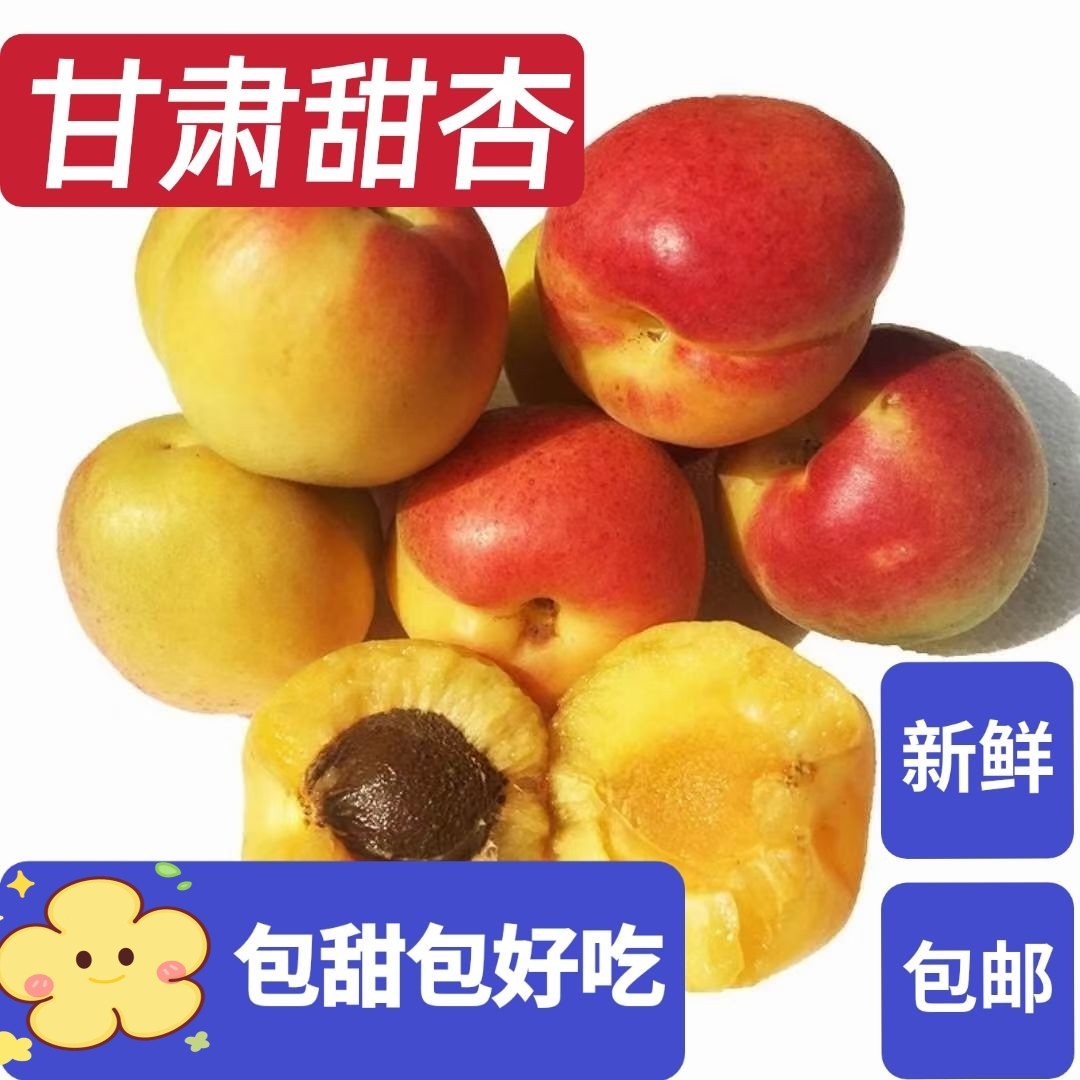 甘肃甜杏新鲜水果自然熟现摘现发孕妇酸果杏丰源红大接杏包邮