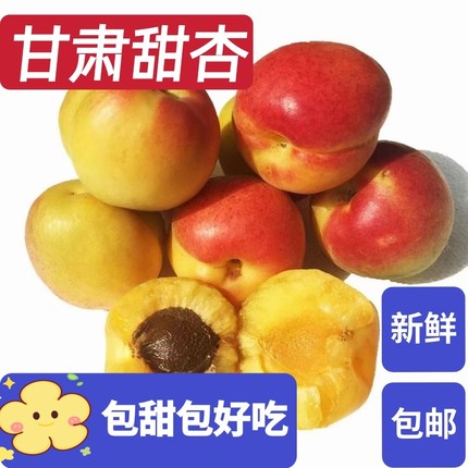 甘肃甜杏新鲜水果自然熟现摘现发孕妇酸果杏张公园大接杏包邮