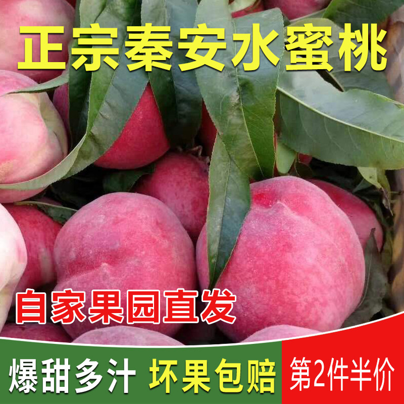 秦安水蜜桃甘肃桃子天水甜桃新鲜现摘剥皮软桃非阳山桃子脆甜包邮