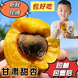 新鲜杏子当季水果整箱现摘现发自然成熟甜杏张公园大接杏包邮