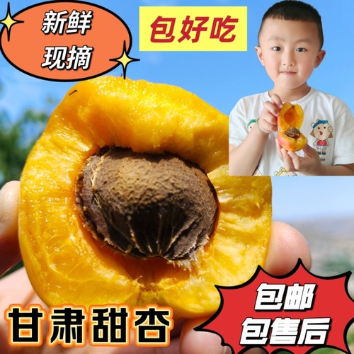 当季现摘自然熟甜杏整箱包邮