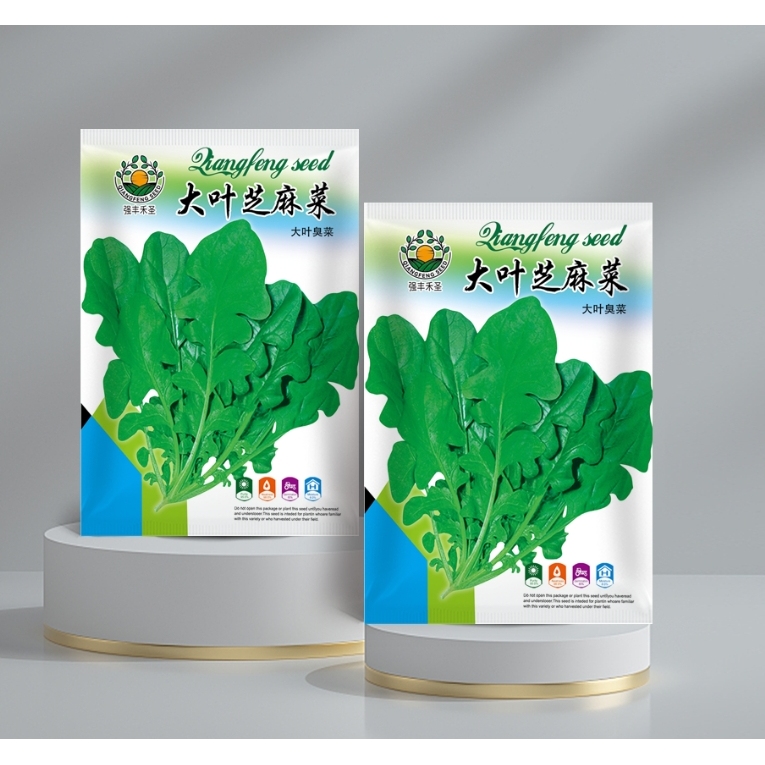 芝麻菜种籽东北大叶臭菜种子火箭菜盆栽阳台种植生蔬菜苗大全秧苗