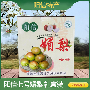 阳信特产七号梨媚梨送礼礼盒包装酥梨皮薄汁多果园直发坏果包赔