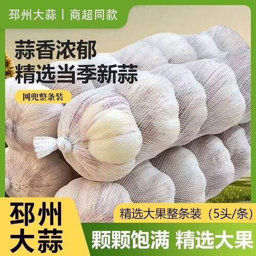 邳州出口级紫皮蒜瓣饱满