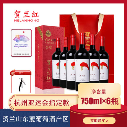 山海情贺兰红东整箱宁夏贺兰山东麓葡萄酒旗舰店赤霞珠干红