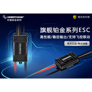 铂金80A 260A 120A 180A V5电子调速器 150A 好盈电调Platinum