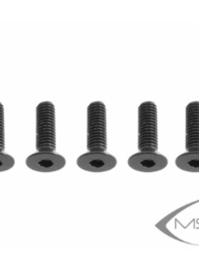 小罗模型 XLPower 700 V2 直升机配件  M3x10 螺丝 MSH71099