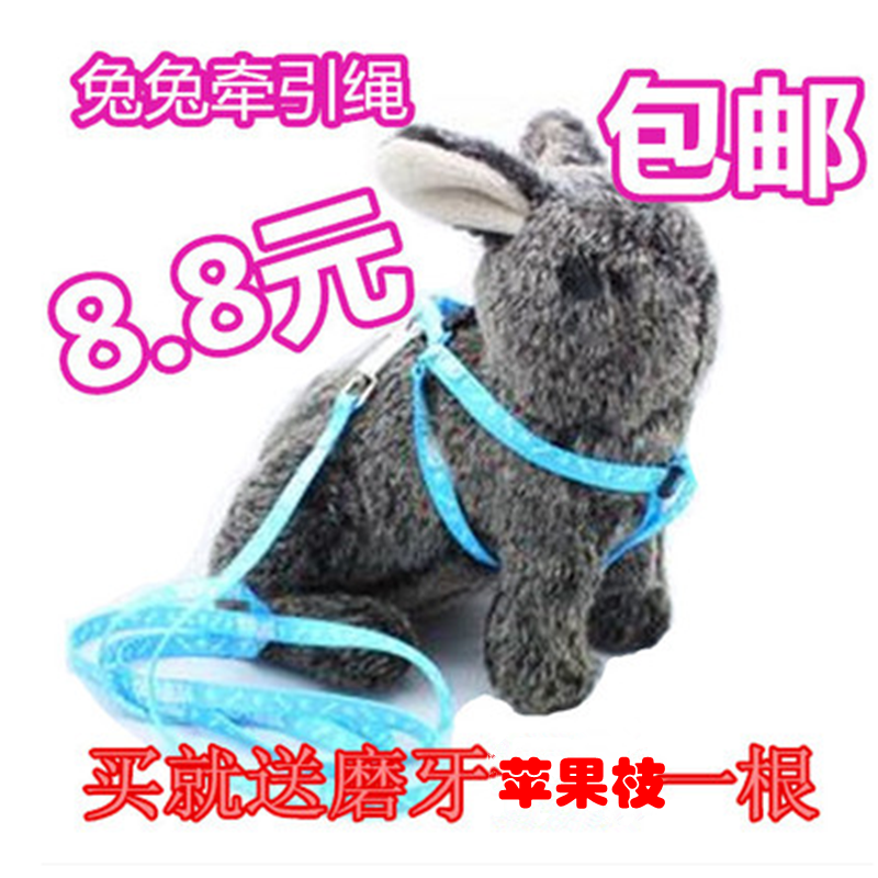 包邮宠物兔子牵引绳溜兔绳泰迪贵宾犬牵引绳垂耳兔牵引带宠物用品在类目 宠物/宠物食品及用品, 猫/狗日用品, 家用牵引带中 - 来自Buy2taobao.com提供专业的淘宝代购服务