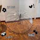 透明雨伞成人儿童两用网红加大手绘DIY定制logo礼品道具景区批发