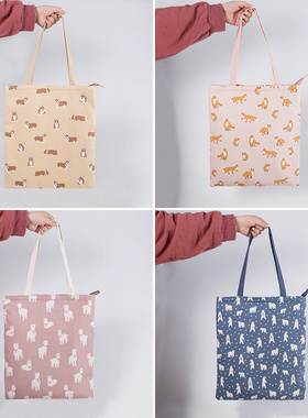 ins韩国版小清新休闲手提袋女环保购物袋大容量简约单肩包帆布袋