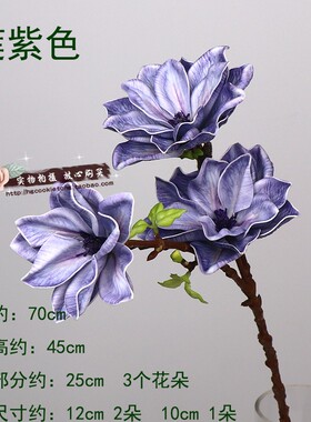 仿真玉兰花EVA手感保湿假花