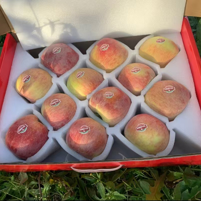 阿克苏红旗坡六队冰糖心苹果