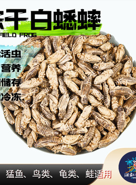 冻干白蟋蟀守宫蜥蜴睫角豹纹肥尾雷龙肥尾饲料树蛙针头水龟鹦鹉粮