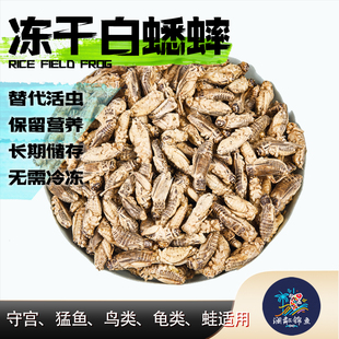 冻干白蟋蟀守宫蜥蜴睫角豹纹肥尾雷龙肥尾饲料树蛙针头水龟鹦鹉粮