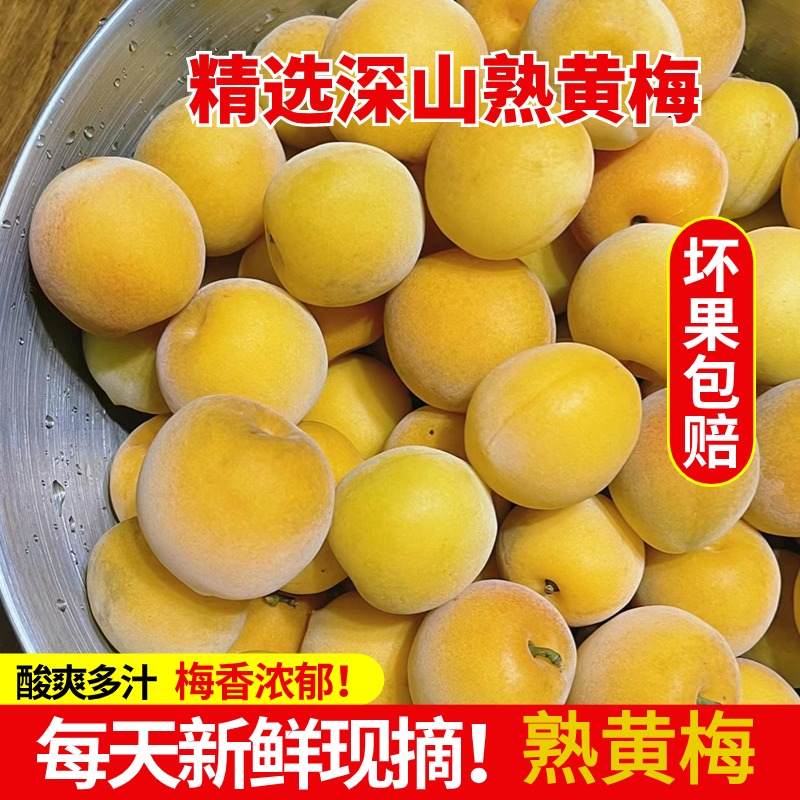 深山现摘晚熟黄梅5斤泡酒梅子