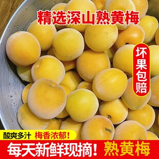 精选云南完熟黄梅果5斤新鲜酸梅子酵素梅泡酒青梅野生丽江小黄梅