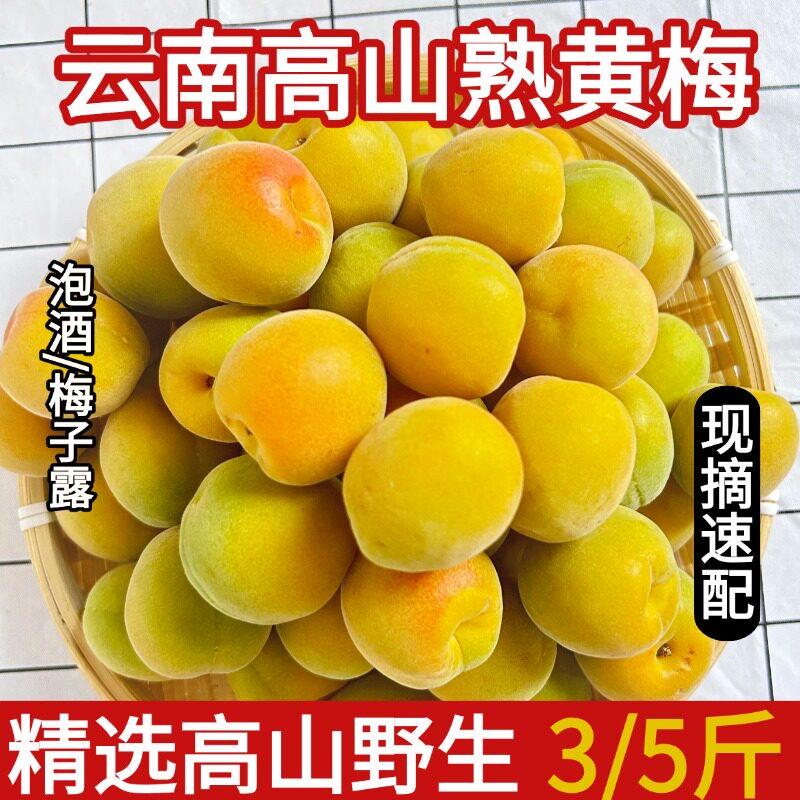 云南新鲜黄梅5斤深山完熟青梅高山野生泡酒酵素酸梅子孕妇酸水果