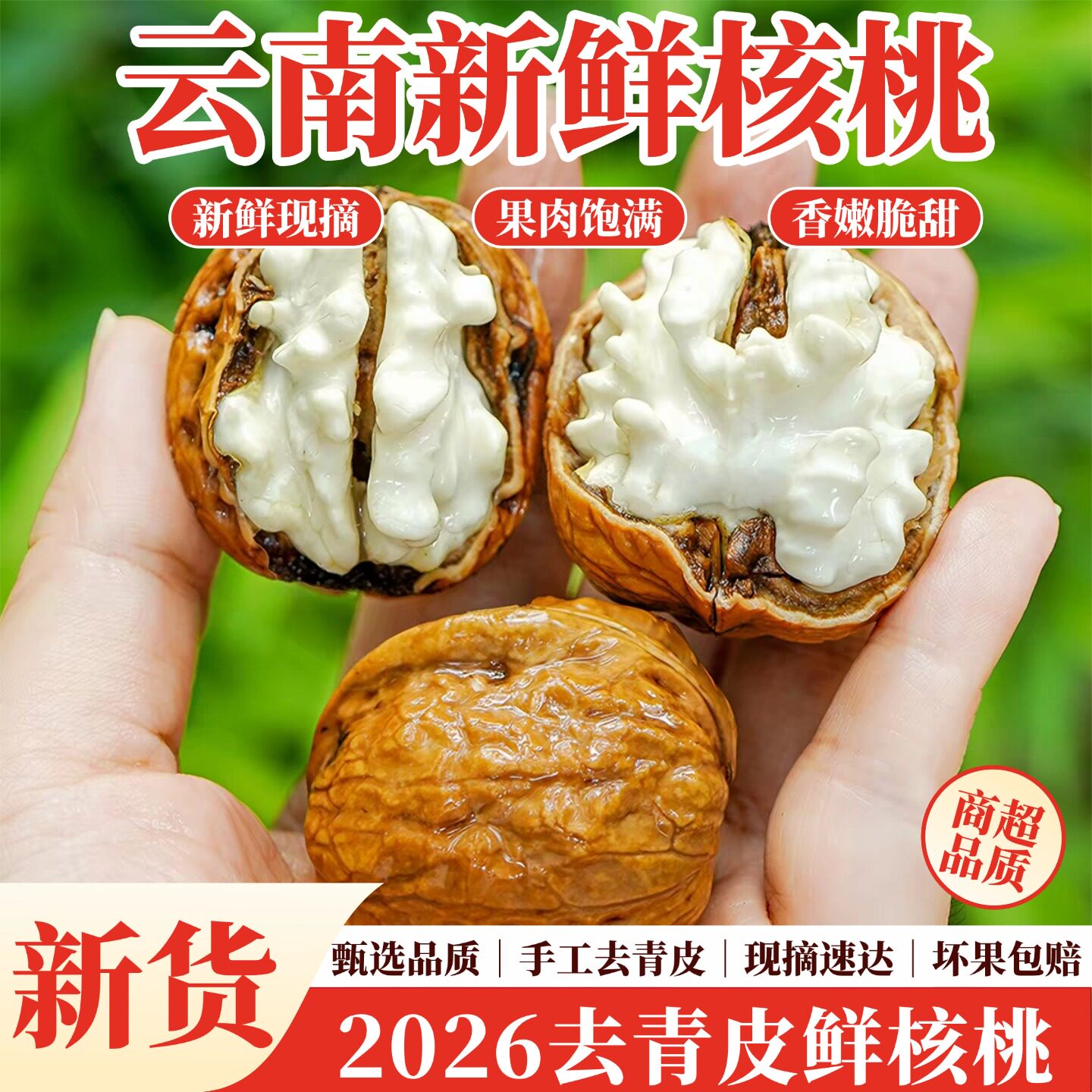 云南大理新鲜去青皮核桃图片