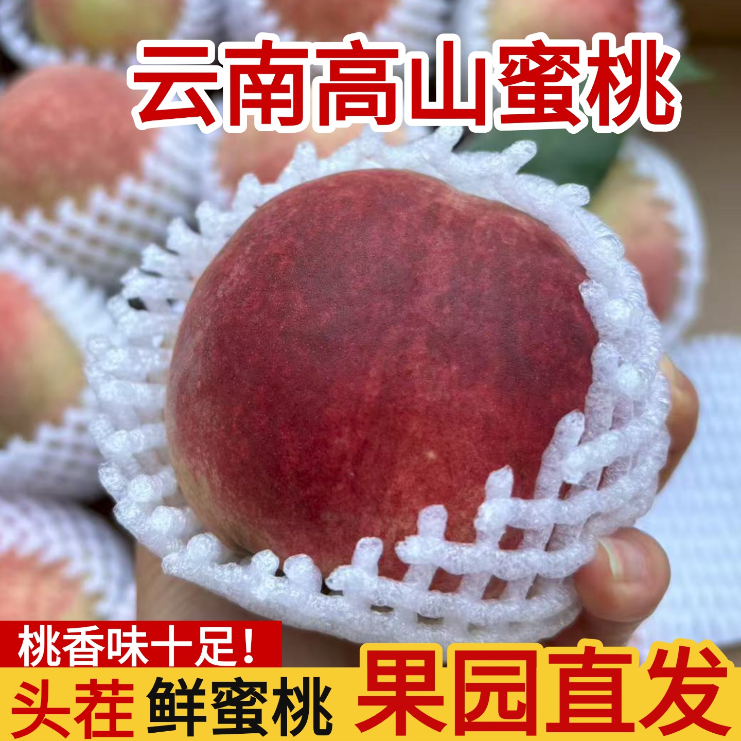 2025云南冬理秋桃5/9斤脆甜毛桃子现摘金秋蜜桃鲜桃脆甜孕妇水果
