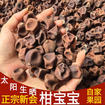 【梅子香浓】正宗新会生晒圈枝柑宝2023年原只陈皮小青柑干果泡茶
