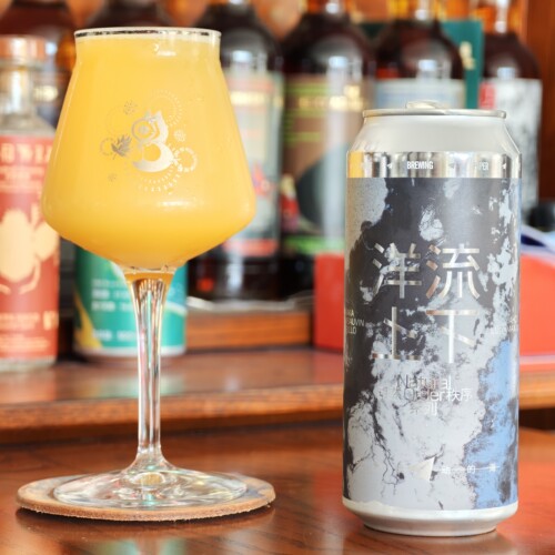 纸飞机洋流上下三倍干投浑浊IPA