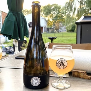 尖货! 家园 珍稀之桶 荷鲁斯 聚核 过金酒桶 水果酸艾尔 750ml