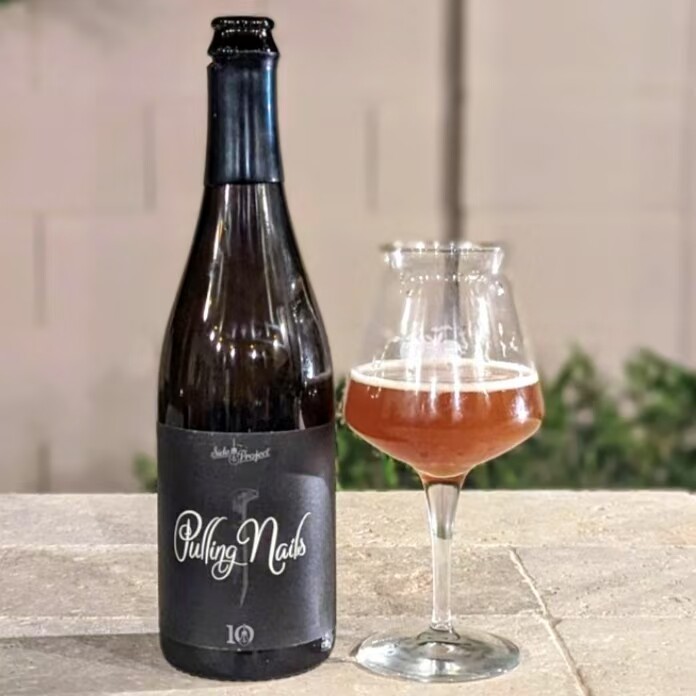副计划拔桶钉十周年美式野菌酸啤