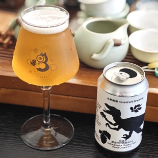 强推！12月5产 分野酿造 迅猛龙 传统西海岸IPA 美式IPA 精酿啤酒
