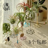 铝线创意 ins风格 桌面空气草花架欧式 空气凤梨高腰支架 手工装 饰
