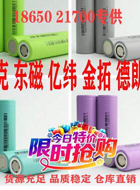 东磁18650动力电芯21700电池