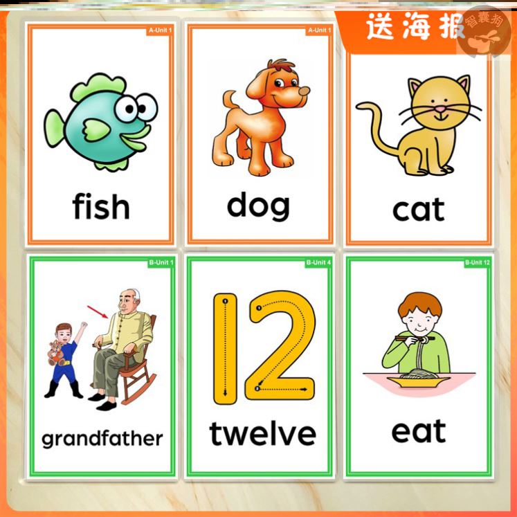 新概念英语青少版入门级A B单词大卡片全套过塑封教具小学生闪卡