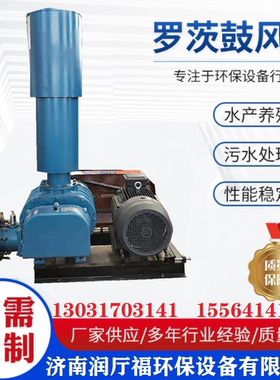 罗茨风机增氧机大功率高压曝气管道RTSR50型污水处理罗茨鼓风机