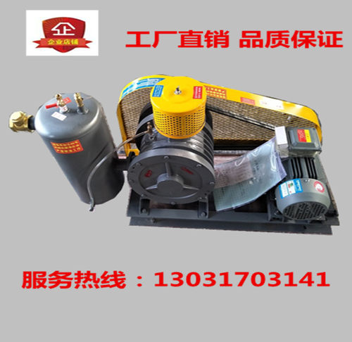 HC30s回转鼓风机润厅福