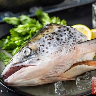 【冰鲜三文鱼头】500g 盐烧烧烤香煎智利挪威海鲜寿司日料居酒屋