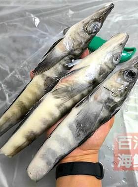 断尾冰鱼一包3条装西餐铁板烧