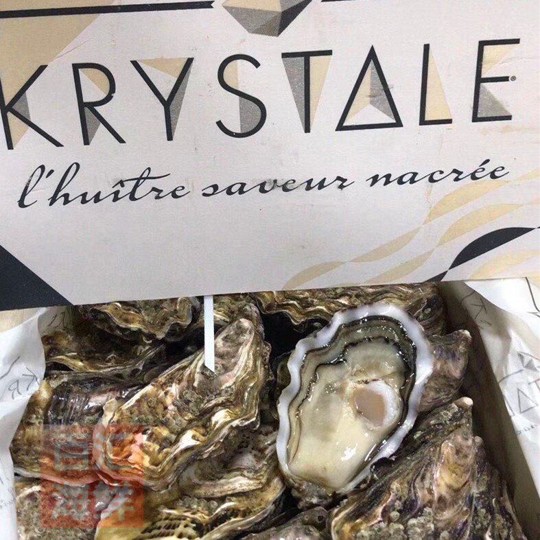 【法國白珍珠生蚝】5只起售 n1/n2水晶蚝开壳刺身即食送蚝刀西餐