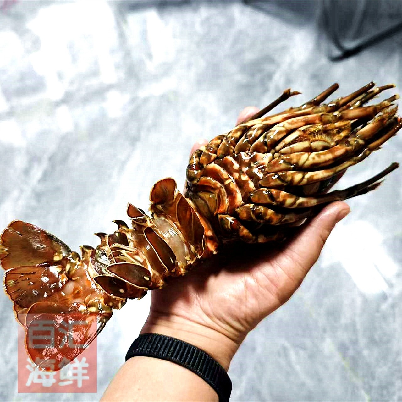 【冷冻小青龙】400g/只 生冻墨龙虾青龙仔露营烧烤铁板外卖西餐,水产肉类/新鲜蔬果/熟食,冻虾,淘宝优惠券,粉丝福利购,淘宝优惠卷