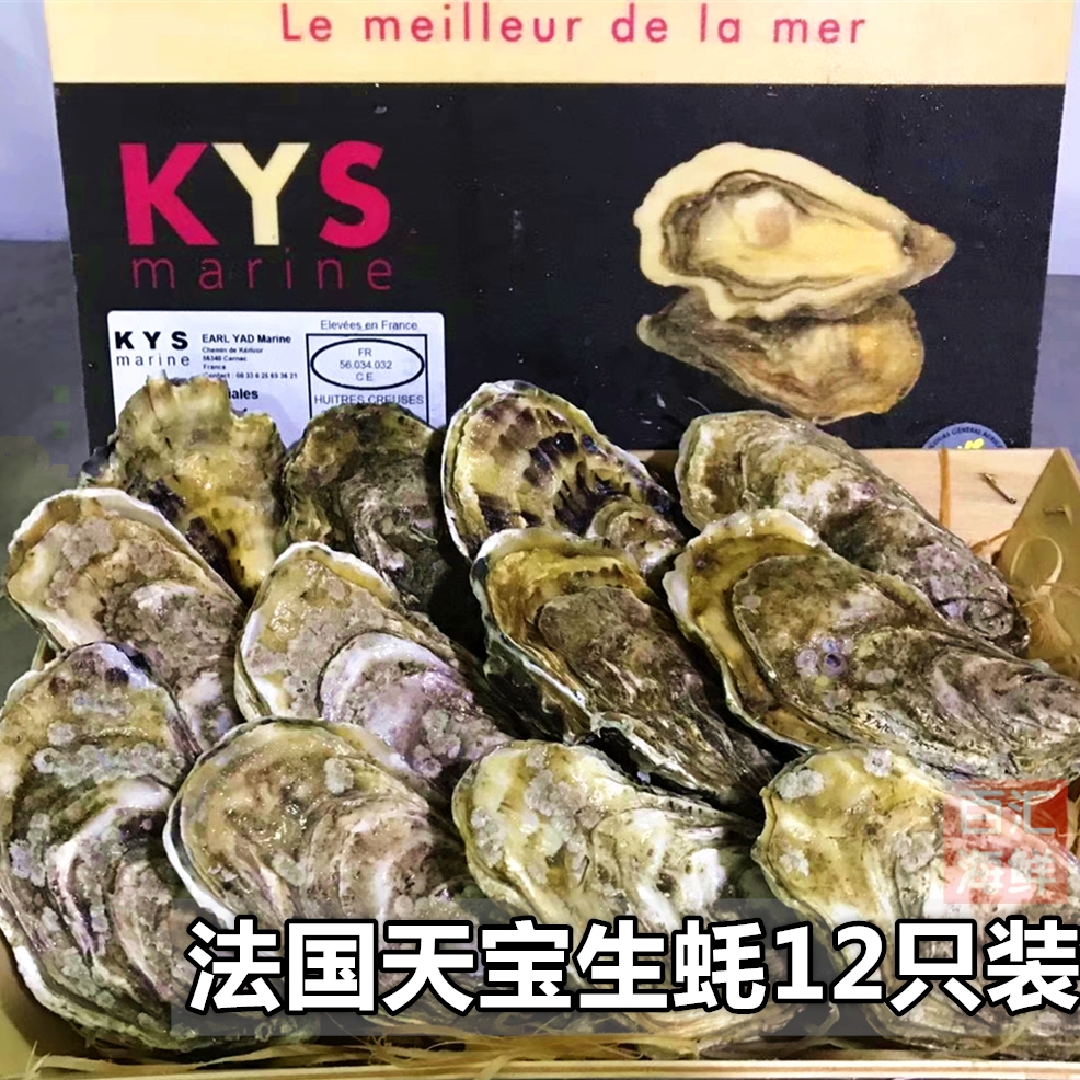 【法国天宝12只装】非原装小木箱进口生蚝送蚝刀柠檬开壳生食刺身