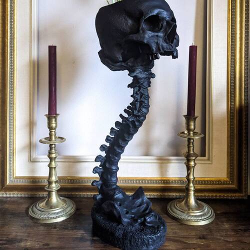 亚马逊爆款Skull Planter & Spine Stand Sets骷髅脊椎花盆现货