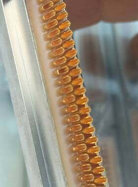 J29A-66ZKHP8 矩形连接器 中航光议价 维修！！！