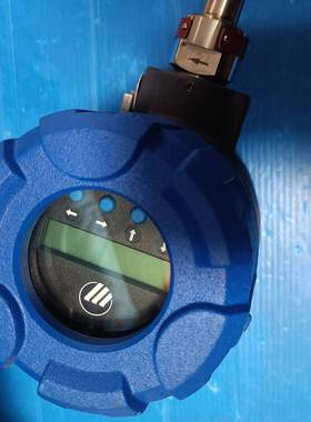 Magnetrol TA2-A1B0-930/TER-A00议价 维修！！！