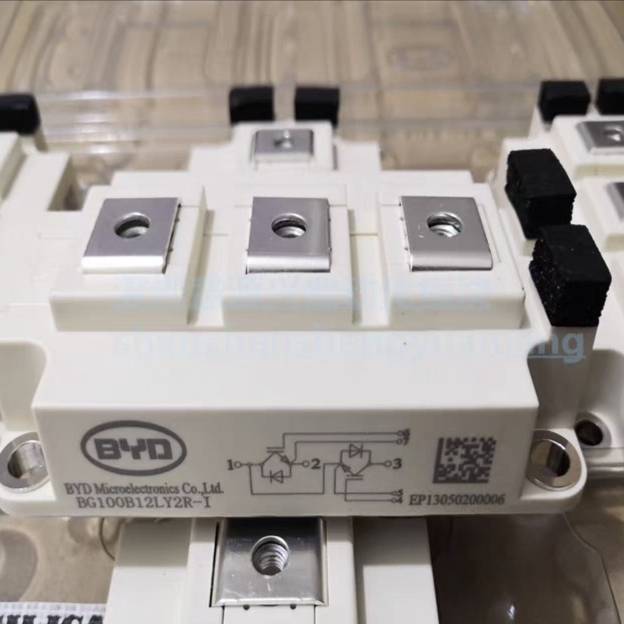 BG100B12LY2R-I议价维修！！！