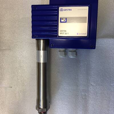 GESTRA NRGT 26-1 H=700 液位传感器议价 维修！！！