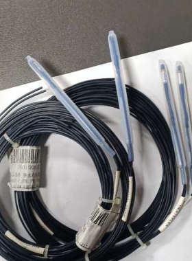 HEATEFLEX 温度探头，共4pcs,议价也可维修