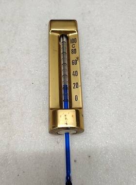 T型温度计TYPE 110B 0-100℃ L=40mm议价 维修！！！