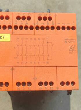 DOLD/多德安全继电器,BL5931.63 议价 维修！！！