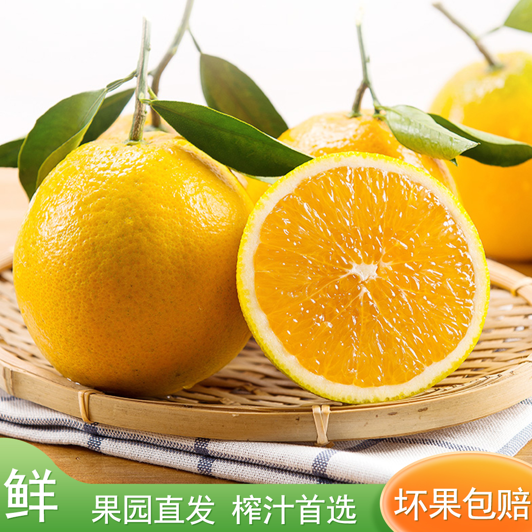 秭归夏橙果粒橙爽口多汁孕妇水果