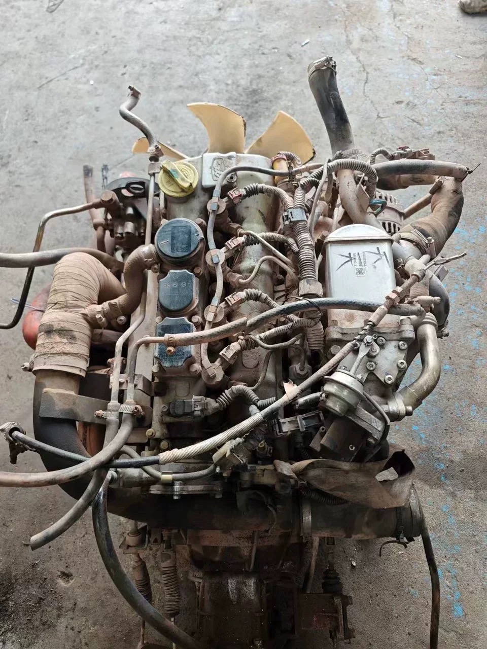 国五云内D19发动机 D19TCIE1 油刹缸盖缸体总成配件喷油嘴油泵